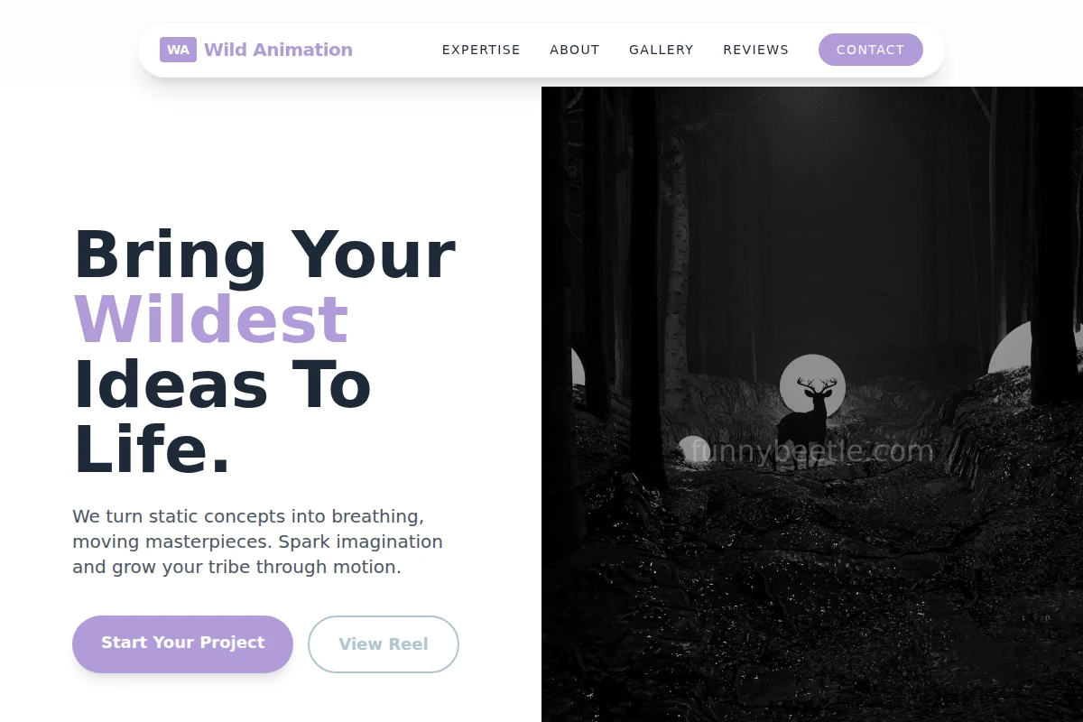 Wild Animation